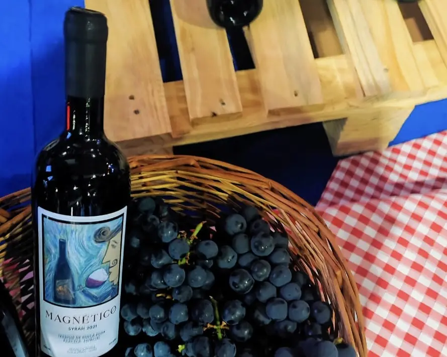 O Vinho Magnético é produzido sem a utilização de agrotóxicos, pesticidas e utilizando produtos homeopáticos, águas plasmadas e leva até mesmo os ciclos lunares em conta, e ainda possui uma alta concentração fenólica e de antocianinas, o que resulta em um vinho diferenciado e único | Foto: Divulgação