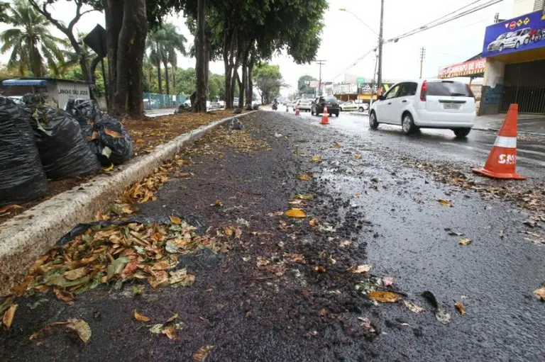 A norma é um aditivo ao Plano de Arborização Urbana, que está em discussão na casa. | Foto: Câmara