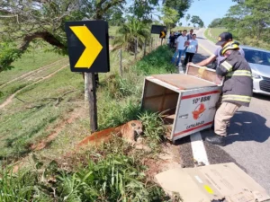 Ao chegarem ao local, a equipe dos bombeiros se deparam e com uma onça ferida no acostamento da rodovia | Foto: Corpo de Bombeiros