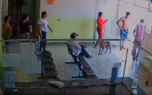 Uma das suspeitas tinha sido presa com a família dela por tráfico de drogas na terça-feira (14).