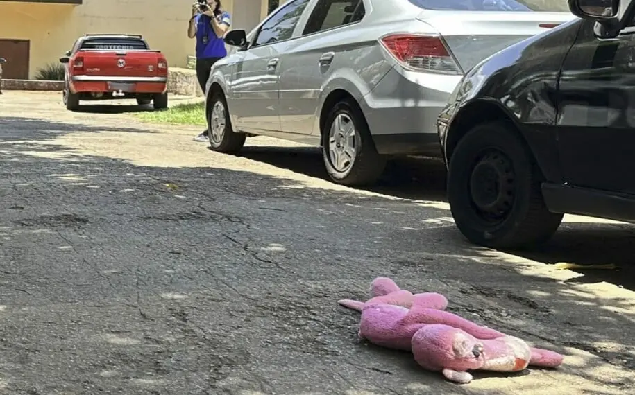 O animal chegou a ser socorrido por uma professora de veterinária mas precisou ser eutanasiado | Foto: Divulgação