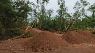 Foto: Polícia Civil