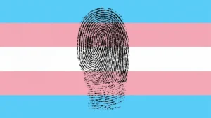 A manutenção da estrutura transfóbica no RG reacende o debate sobre a inclusão e respeito às identidades trans no âmbito governamental. | Foto: Bicha da Justiça