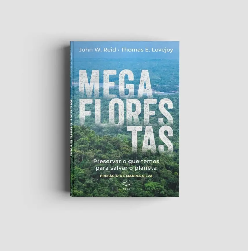 Explorando a trajetória do Brasil, o livro aponta desafios contemporâneos, como o aumento do desmatamento sob a administração Bolsonaro. | Foto: Editora Voo