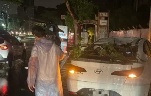 Galhos de árvores ficaram espalhados pelas ruas do Setor Sul e Marista | Foto: Éverton Ferrari