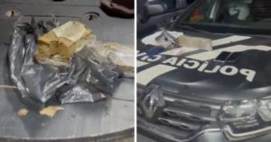 Foto: Polícia Civil