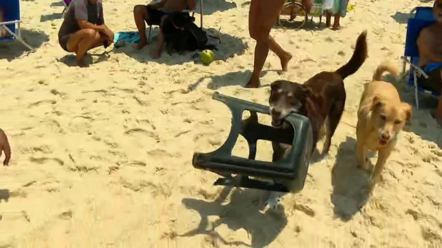 Som e DJ encantam a clientela de Ipanema | Foto: Reprodução / TV Globo