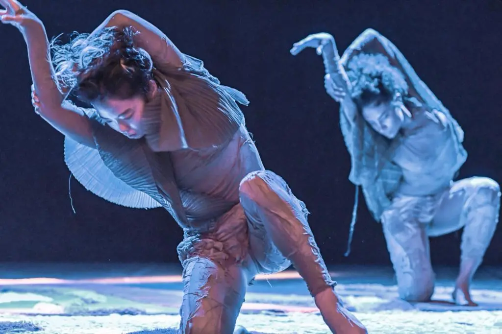 No palco, os bailarinos da Quasar se transformam em um elo entre a audiência e a natureza do Cerrado, tecendo uma narrativa que busca envolver e fazer sentir a grandiosidade e a fragilidade desse bioma | Foto: Layza Vasconcelos