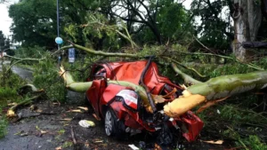 Tempestade causou a queda de árvores, postes, fios e placas na rua e conseguiu mover aviões que estavam parados dentro de aeroporto | Foto: Reprodução