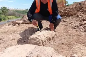 Os materiais encontrados foram entregues para estudos ao Museu dos Dinossauros da Universidade Federal do Triângulo Mineiro (UFTM) | Foto: Reprodução