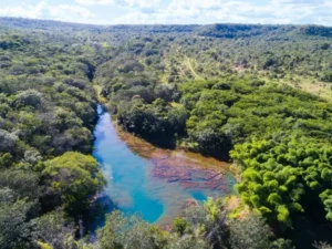 Objetivo é promover a recuperação de 10 mil hectares de áreas degradadas da bacia hidrográfica do Rio Araguaia, sendo 5 mil ha em Goiás e 5 mil ha em Mato Grosso | Foto: Semad