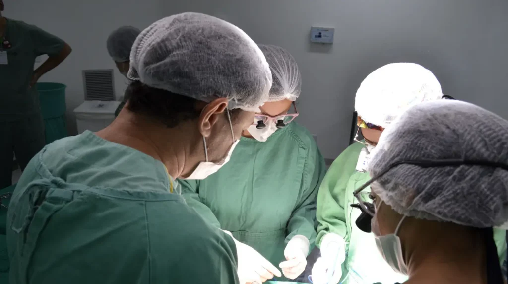 Em 2023, Goiás atinge recorde histórico com 98 famílias doadoras. | Foto: Divulgação