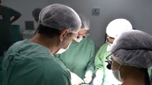 Em 2023, Goiás atinge recorde histórico com 98 famílias doadoras. | Foto: Divulgação