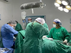 Rede estadual de saúde registra marca histórica, recorde anterior era de 2018 com 89 doações. | Foto: Divulgação