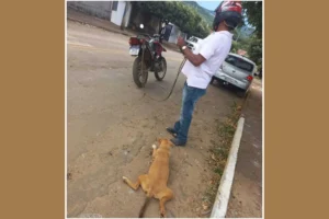 Em abril de 2022, o idoso foi flagrado arrastando o animal pelo asfalto enquanto dirigia uma moto | Foto: Reprodução