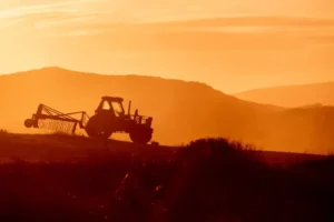 Banco do Brasil se destaca como principal financiador, com empréstimos totalizando 71 bilhões de dólares para o agronegócio. | Foto: Freepik