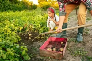 O texto propõe que 30% da alimentação nas escolas seja proveniente da agricultura familiar I Foto: Reprodução