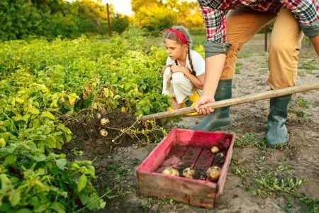 O texto propõe que 30% da alimentação nas escolas seja proveniente da agricultura familiar I Foto: Reprodução