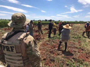 O Dia Nacional de Combate ao Trabalho Escravo é celebrado em 28 de janeiro. | Foto: MPT