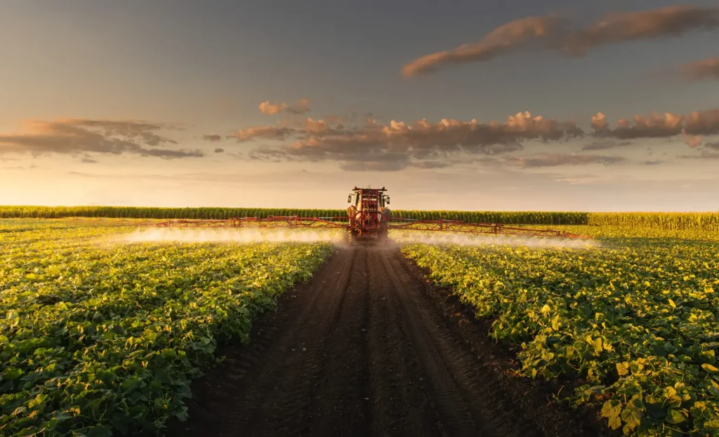 Tractor spraying pesticides on vegetable field  with sprayer at spring