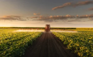 Tractor spraying pesticides on vegetable field  with sprayer at spring