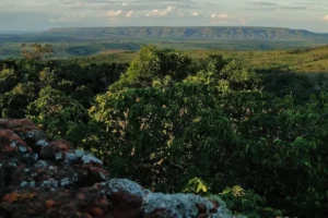Vista de um mirante no Parque Estadual de Caldas Novas | Foto: Divulgação/Semad-GO