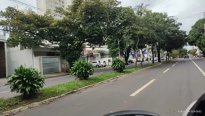 Manejo será realizado levando em consideração critérios técnicos | Foto: Prefeitura de Goiânia