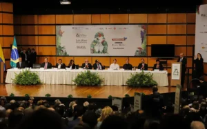 A mediação de atividades durante a feira busca estreitar os laços entre Brasil e Colômbia, fortalecendo os laços entre ‘primos distantes’ e promovendo uma maior compreensão mútua | Foto: Divulgação