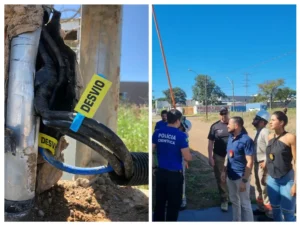 Após o pagamento de uma fiança no montante de R$ 25 mil, valor coberto pelo detido, ele foi liberado I Foto: Divulgação/PC