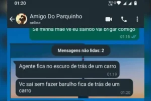 Ao ver as mensagens, a mãe da menina assumiu o controle do celular e se passou pela criança | Foto: Reprodução