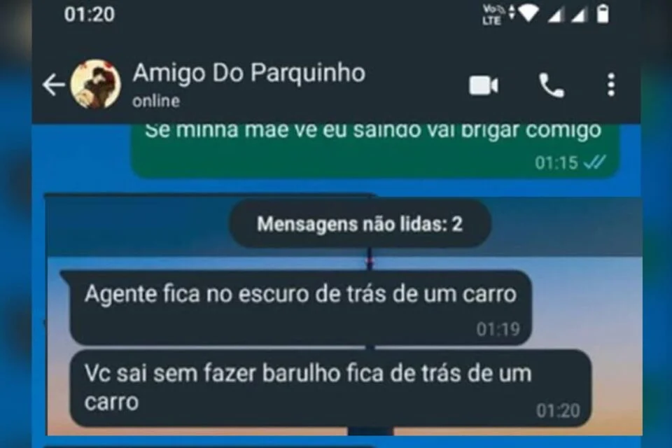 Ao ver as mensagens, a mãe da menina assumiu o controle do celular e se passou pela criança | Foto: Reprodução