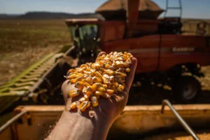 Agronegócio goiano emprega mais de 1 milhão de pessoas em 2023
