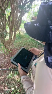 Agentes Comunitários de Combate a Endemias instalam armadilhas para controle do Aedes aegypti no Setor Jardim América; ao todo, Prefeitura de Goiânia vai instalar 11,2 mil em bairros de quatro regiões da capital | Foto: SMS