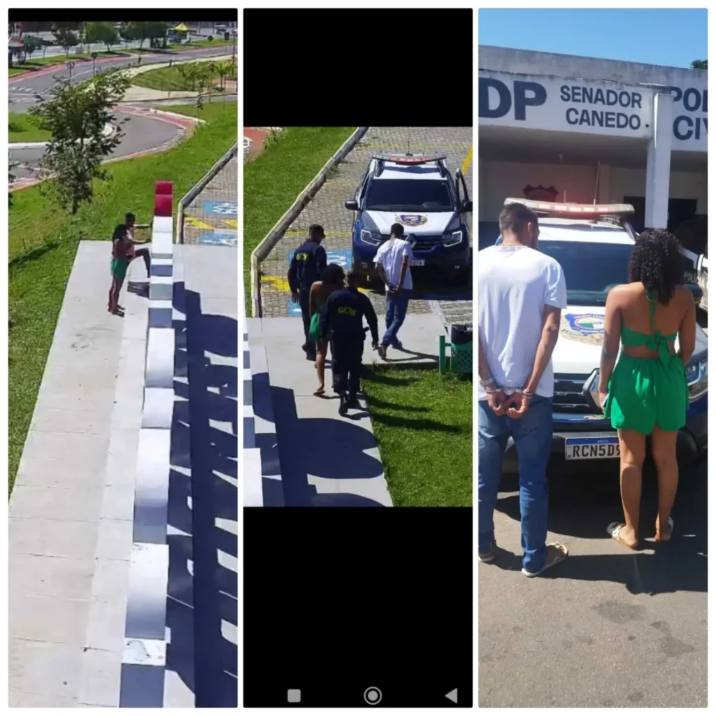 A viatura foi acionada via Gecom que monitora a cidade | Foto: Guarda Civil