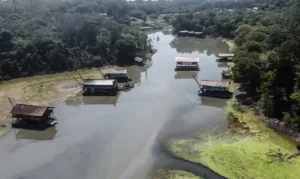 Estudo foi feito pelo Instituto de Pesquisa Ambiental da Amazônia. | Foto: Polícia Federal