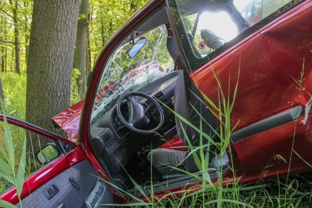 Carro saiu da GO-060 e colidiu em árvore, ficando com a frente destruída | Foto: PRE