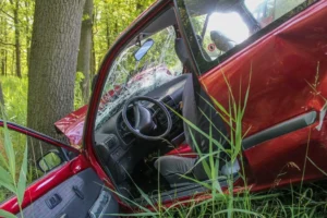 Carro saiu da GO-060 e colidiu em árvore, ficando com a frente destruída | Foto: PRE