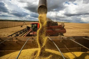 Goiás exportou US$ 1,315 bilhão no mês de abril
