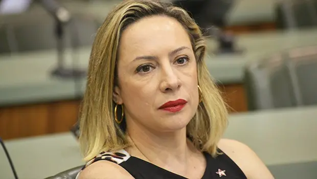 Sem PSB, o PT conta com as legendas que fazem parte da federação, o PCdoB e o PV | Foto: Reprodução