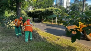 Com início do período seco na capital, Comurg intensifica serviço com foco na prevenção de incêndios | Foto: Luciano Magalhães
