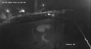 É possível visualizar nas imagens o exato momento em que a vítima é confrontada pelo suspeito e as agressões se iniciam I Foto: Reprodução