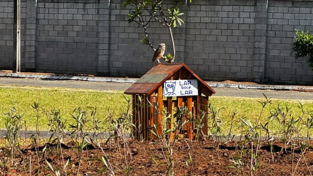 Estruturas construídas pela Comurg tem com o objetivo de proteger as aves e seus ninhos. | Foto: Divulgação