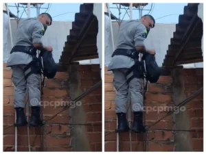 No local, foi localizada uma mochila contendo um tablete de cocaína, mais três porções de drogas e uma balança de precisão I Foto: Divulgação/PMGO