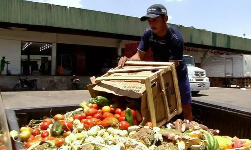Lei cria política contra o desperdício de comida em Goiás