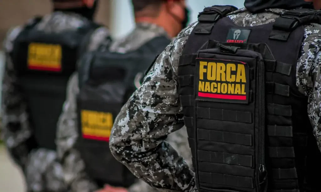 Foram retirados mais de 1,7 mil cabeças de gado de pecuária ilegal. | Foto: Divulgação