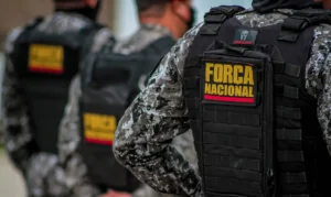 Foram retirados mais de 1,7 mil cabeças de gado de pecuária ilegal. | Foto: Divulgação