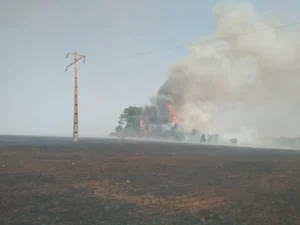 Mais de 40 municípios ficaram sem energia por interrupções causadas por queimadas | Foto: Divulgação/Equatorial Goiás