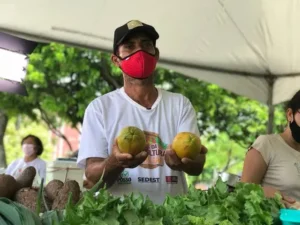Clima estável propicia uma melhor produção. Nas feiras, os comerciantes anunciam preços mais baixos | Foto: Thais Teixeira