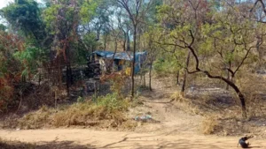 A operação visa cumprir uma ordem judicial de reintegração de posse da área pública, que está invadida há anos por famílias | Foto: Divulgação/PCGO