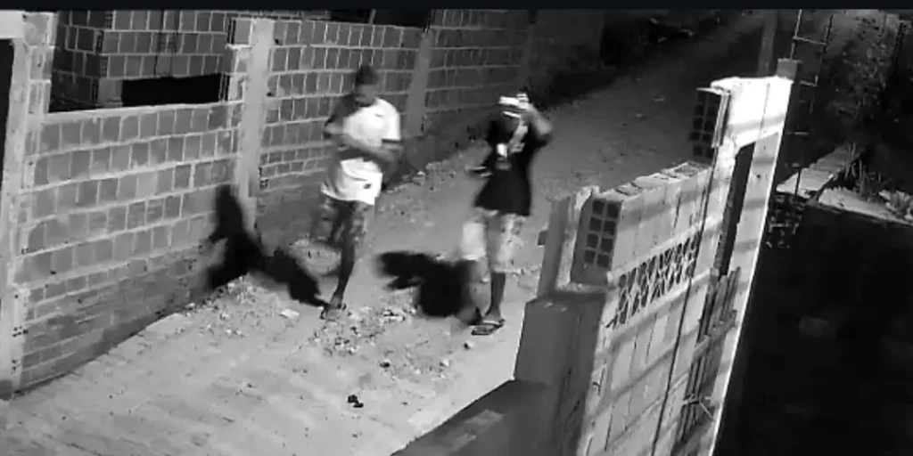 O caso está sob investigação da Polícia Civil do Pernambuco I Foto: Divulgação/PCPE